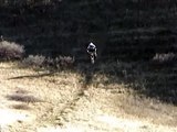 Ouch ! Huge Crash