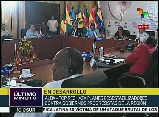 Long: Importante que países del ALBA vayamos a la OEA de manera unida
