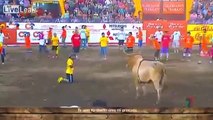 Raging bull punishes cocky bullfighter who mocks 450kg beast without a cape