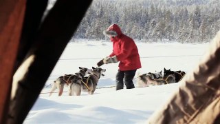 Volvo's XCTravels - #19 Dog Sleding in Sarek