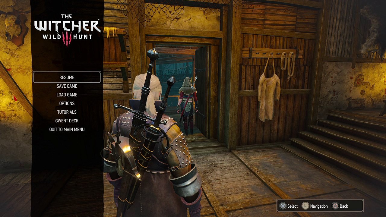 The witcher 3 ciri found (156)