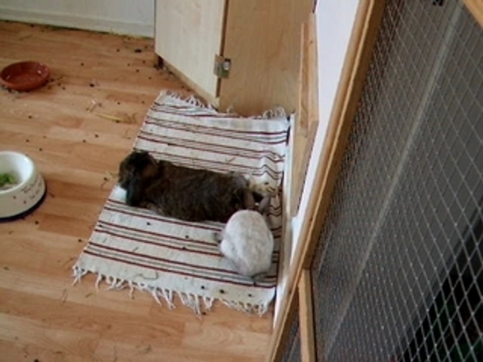 Miri traut sich was.