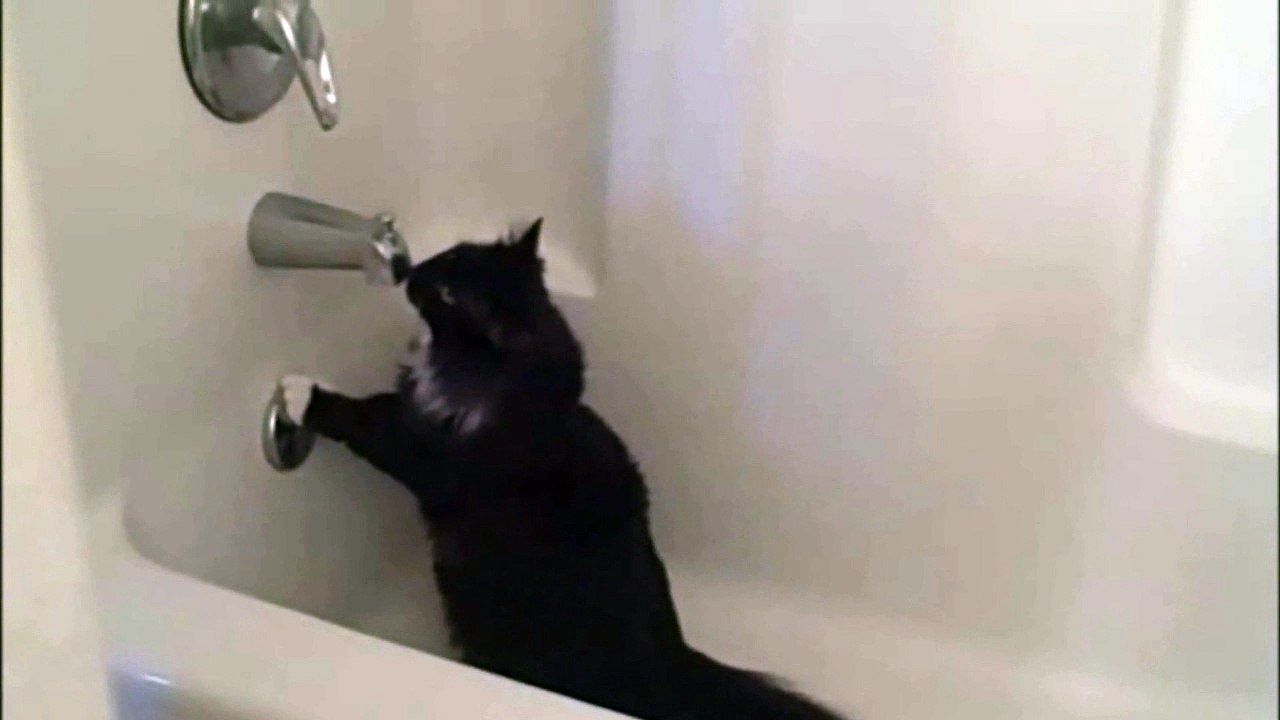 Oscar's Drinking Problem?