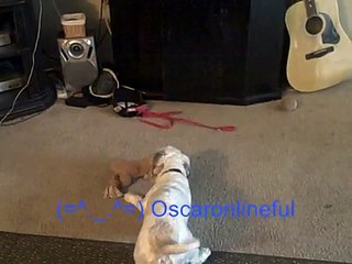 Tobys First Appearance