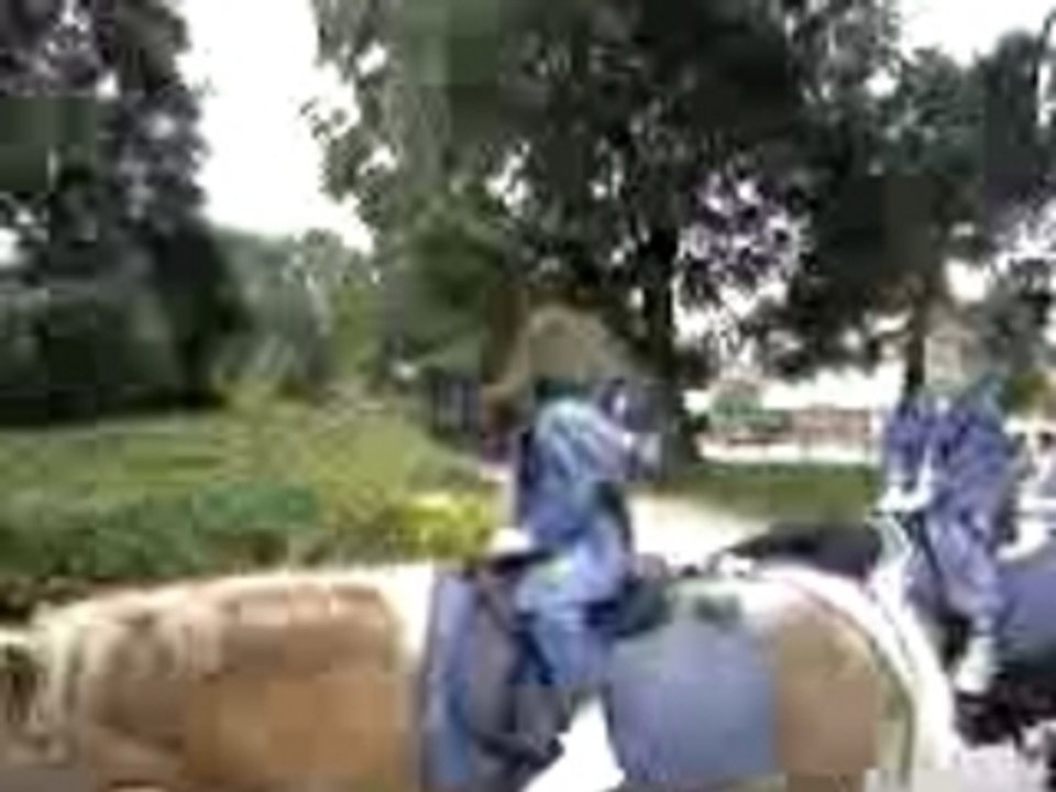 Vidéo0006