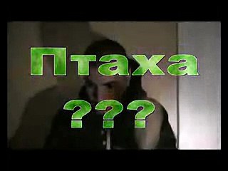 Птаха Ответы на вопросы (NEW) 01/04/10