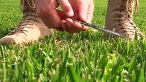 What is Lawn Compaction Sunshine Coast and Brisbane