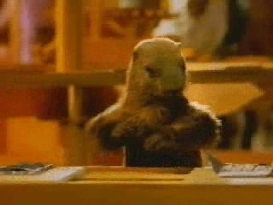 Pub Drole - Milka - La Marmotte