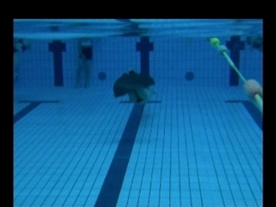 50m en mono !