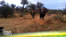 Dangerous Elephant ATTACKS Safari Jeep _ EXCLUSIVE Footage_Viral_ Full HD