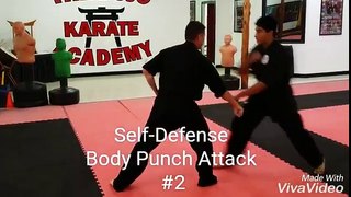 Self-Defense  (Beginner Level)