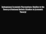 Read Endogenous Economic Fluctuations: Studies in the Theory of Rational Beliefs (Studies in