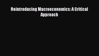 Download Reintroducing Macroeconomics: A Critical Approach Ebook Online