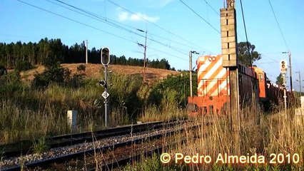 [HD]CP 1559 e CP 5629 | Comboios de Mercadorias | Barquinha 27-05-10