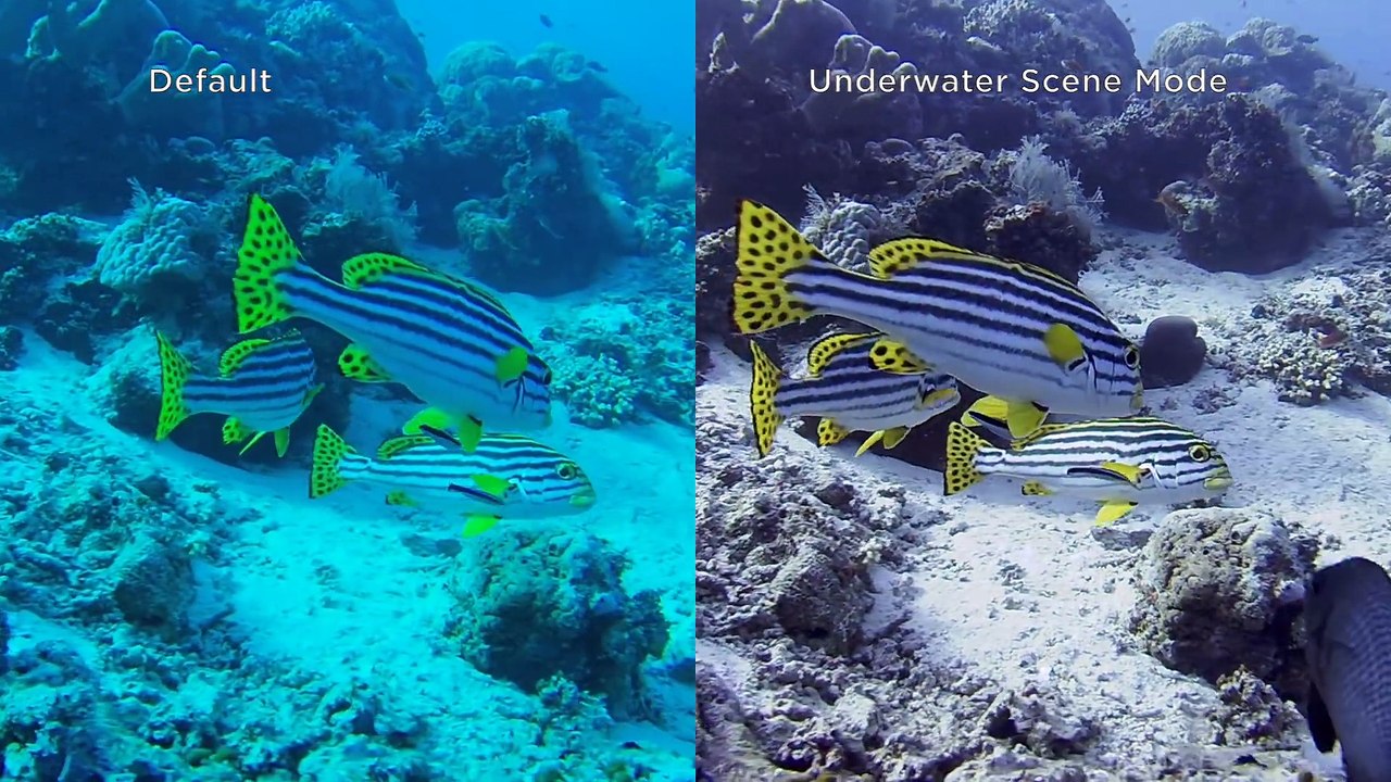 Underwater Scene Mode