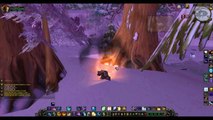 World of Warcraft Cataclysm level 85 Shadow Priest PvP