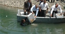 Türkiye'de Bir İlk, Fırat Nehri'ne Kerevit Bırakıldı