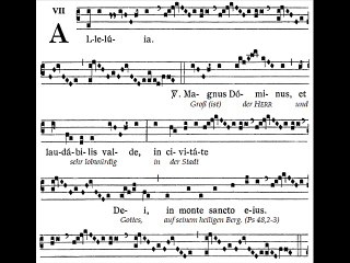 Alleluia Magnus Dominus, Dominica XIV TpA (14è TO)
