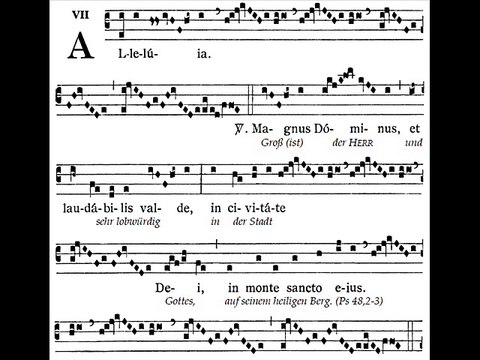 Alleluia Magnus Dominus, Dominica XIV TpA (14è TO)