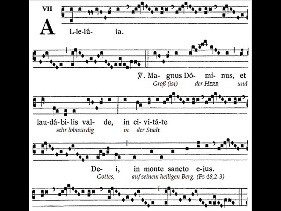 Alleluia Magnus Dominus, Dominica XIV TpA (14è TO)