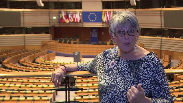 Au Parlement européen, 2 élus britanniques divisés sur le Brexit