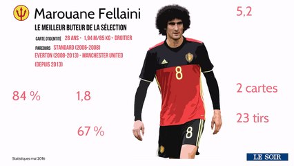 La fiche joueur: Marouane Fellaini