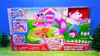 CHUBBY PUPPIES Dog Park Chubby Puppy + Paw Patrol + Wiggles Video Toys Unboxing