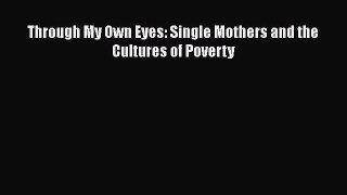 PDF Through My Own Eyes: Single Mothers and the Cultures of Poverty EBook