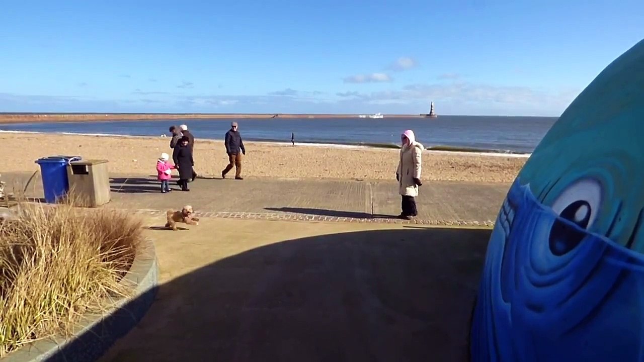 Pippa's Big Day at the Beach