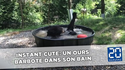 Instant cute: Un ours barbote dans son bain
