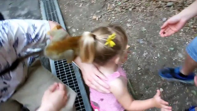 On a toujours besoin d'une bonne glace - compilation hilaran