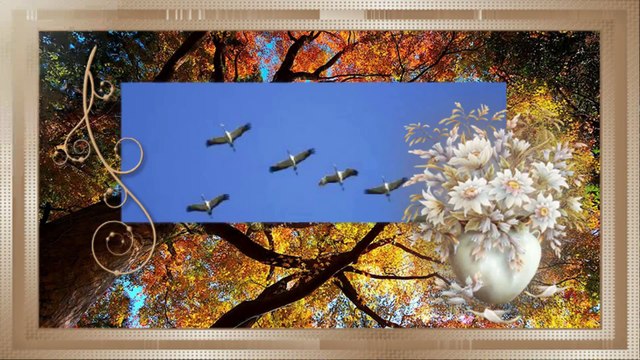 К 8 марта 2016года(1 марта)