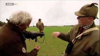 Unexpected Jihad Falk