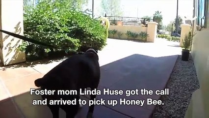 Èstato Abbandonato A 8 Anni E Mezzo... Ma La Vita Gli Riserva Ancora Delle Sorprese!