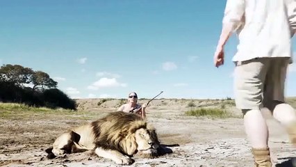 Lion Take Revenge After His Friend Was Shot To Death In South Africa!