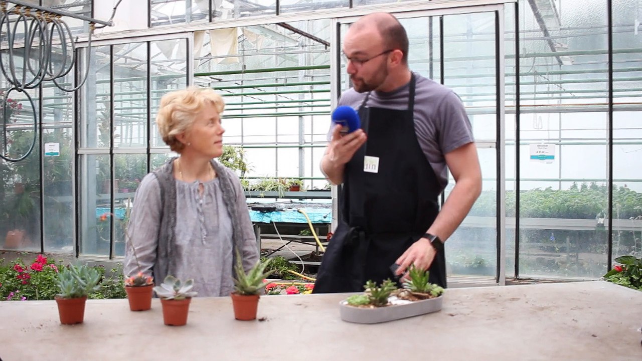 Les Experts jardin... et les plantes grasses