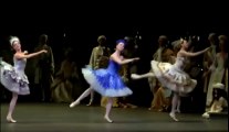 Fairies - The Sleeping Beauty (ABT Ratmansky)