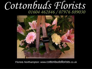 Cotton Buds