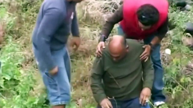 Bull Fighting with People. Raging bulls