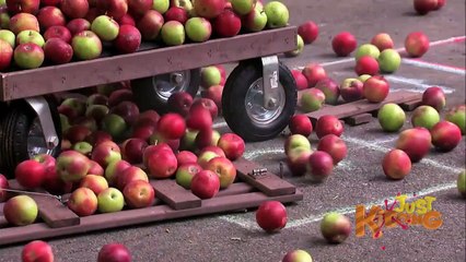 Just For Laughs Gags - Apples Over Hopscotch Prank