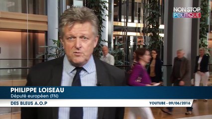 Euro 2016 : Les joueurs de l'équipe de France vus par un eurodéputé FN