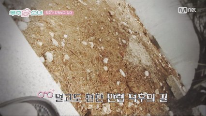 [1회] 첫번째 덕질 일기_만렙 덕후의 기다림