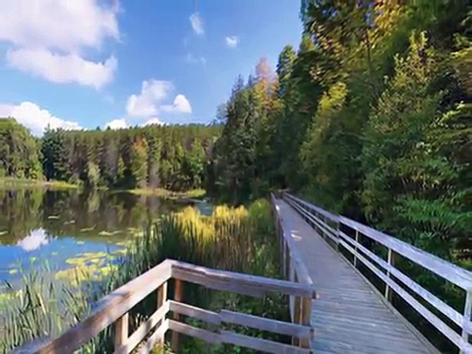 Maple Keys  Condos Kitchener  New House for sale Kitchener