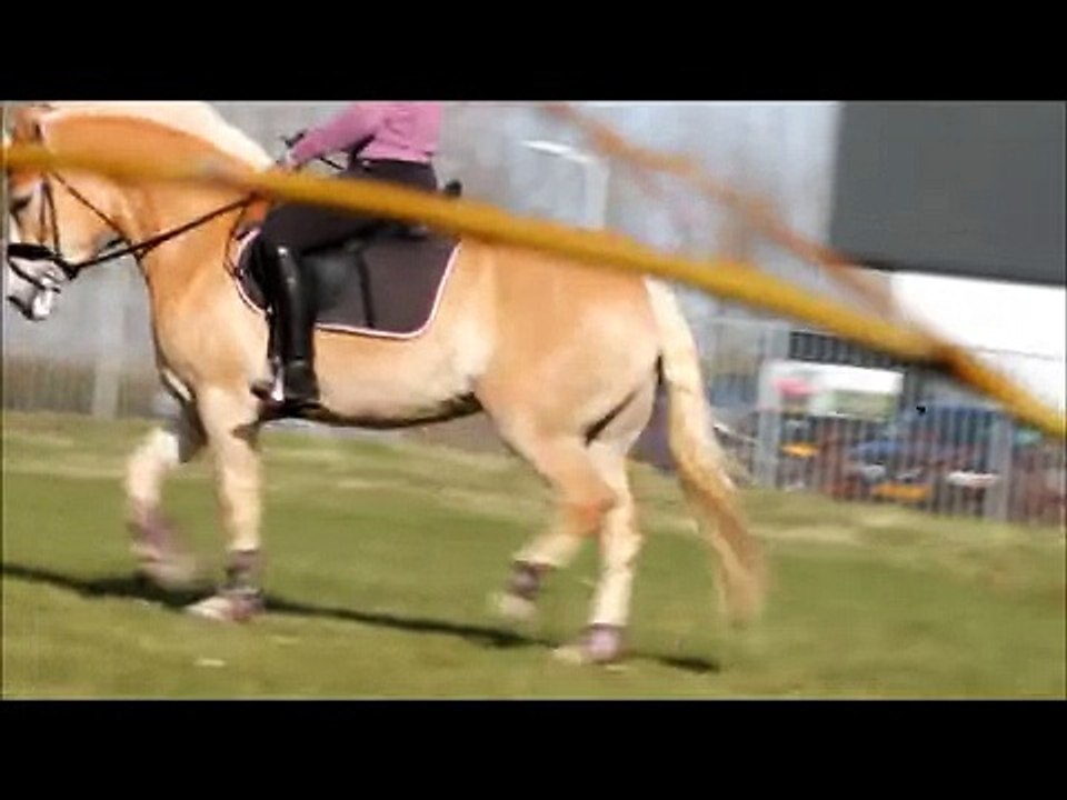 Lycke rijden 23 03 2014