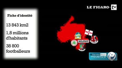 L'Irlande du Nord du football pour les nuls