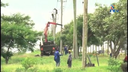 Monkey at Power Plant Triggers Nationwide Blackout