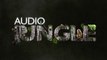 Sound - 10 Coin Magic Sounds | AudioJungle