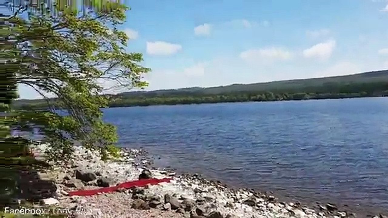 Voici pourquoi le monstre du Loch Ness n'en est pas un !