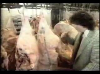 Back where you belong