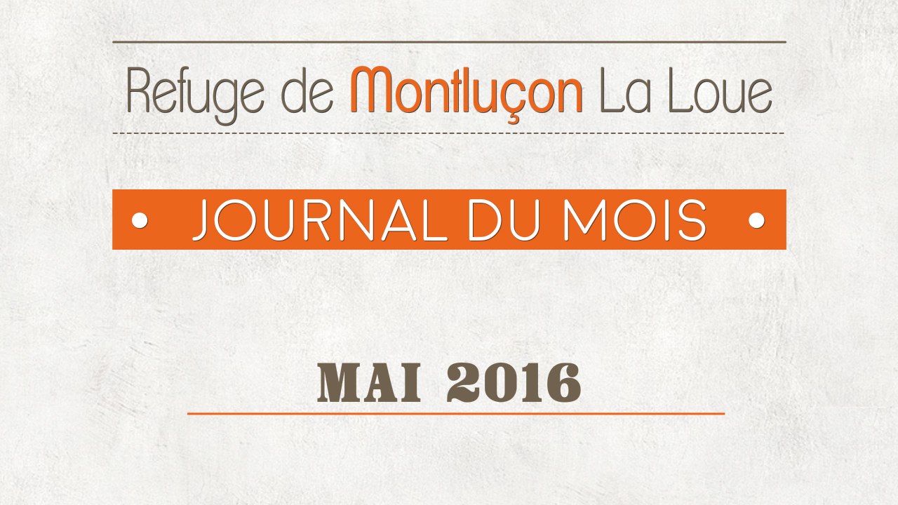 Un mois au refuge : mai 2016